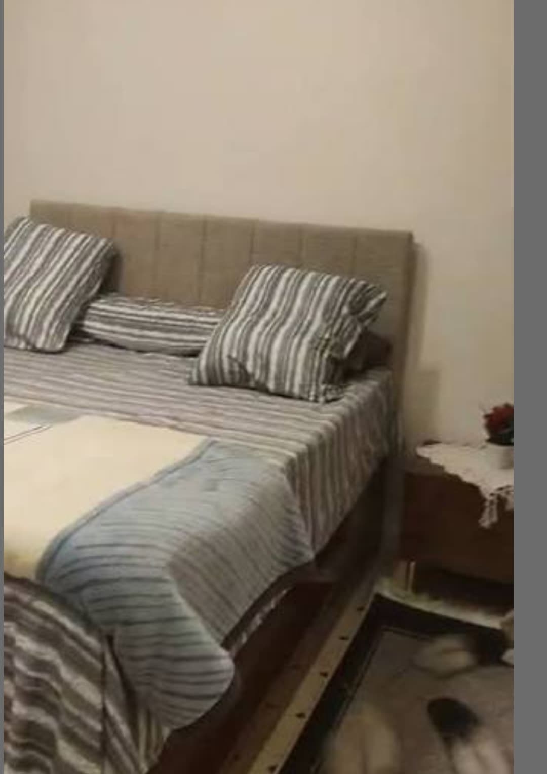 غرفة عزاب في حي الوادي - 1300 ريال شهرياً 1
